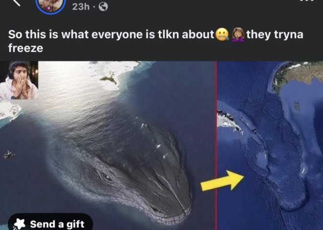 Tormenta invernal desata teorías sobre un “Leviatán”